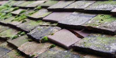 East Sussex roof repair costs